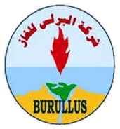 Burullus Gas Company logo